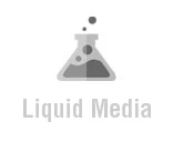 Liquid Media