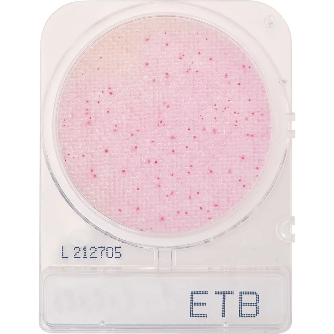 Compact Dry™ ETB, Enterobacteriaceae