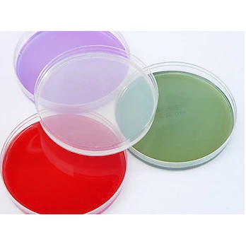 XLT-4 Agar