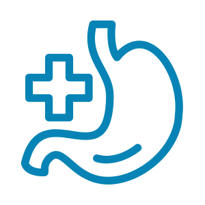 Enzymes and the Process of Digestion