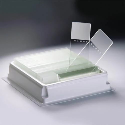 Slides/Coverglass
