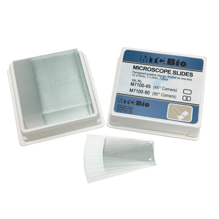 Slides/Coverglass