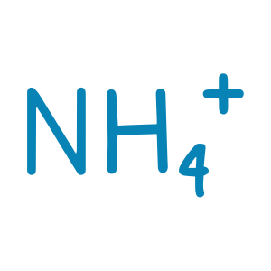 Ammonium