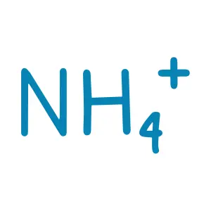 Ammonium Molybdate