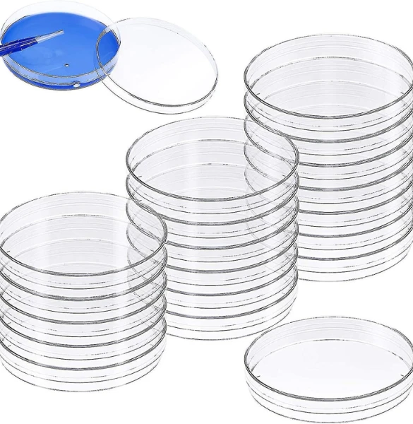 Dishes